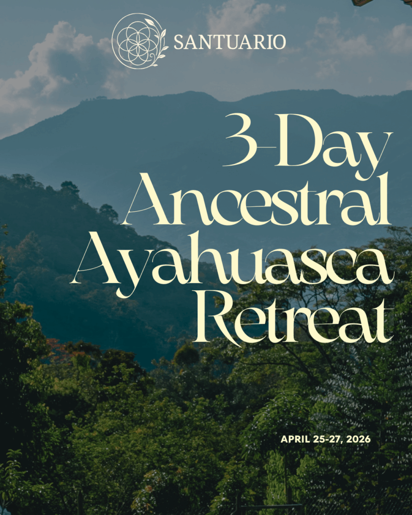 The programs featured image